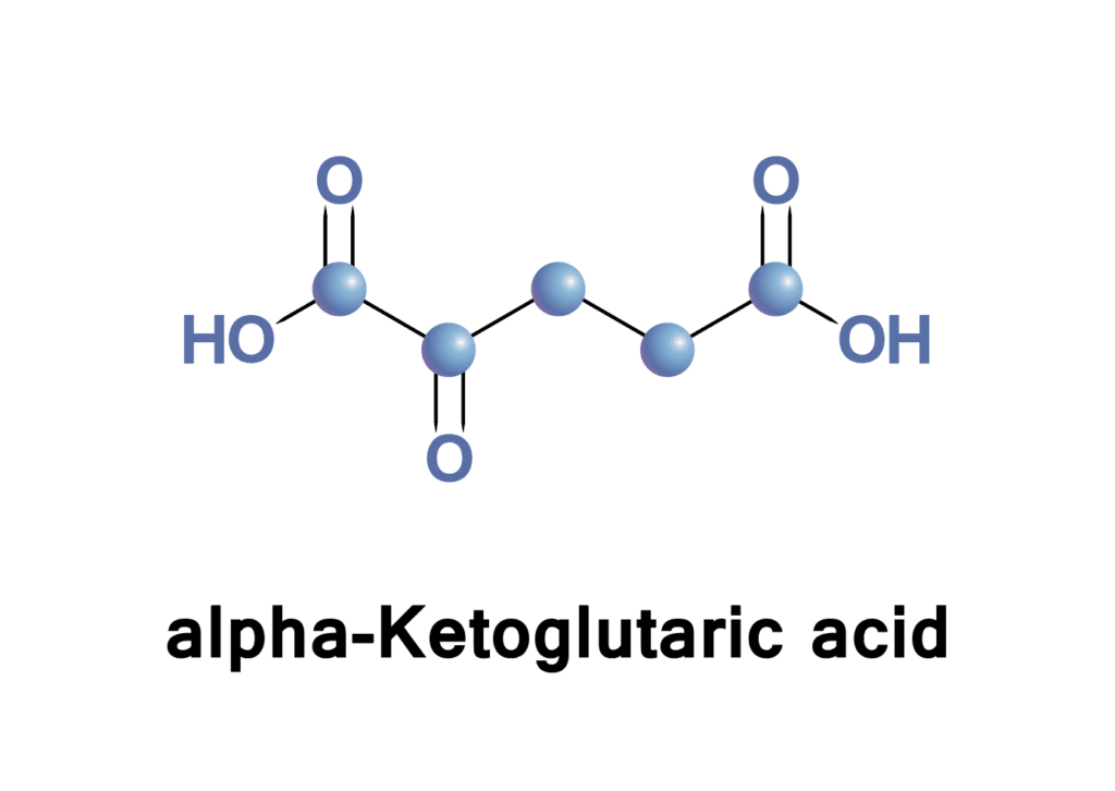 Alpha ketoglutaric acid molecule diagram