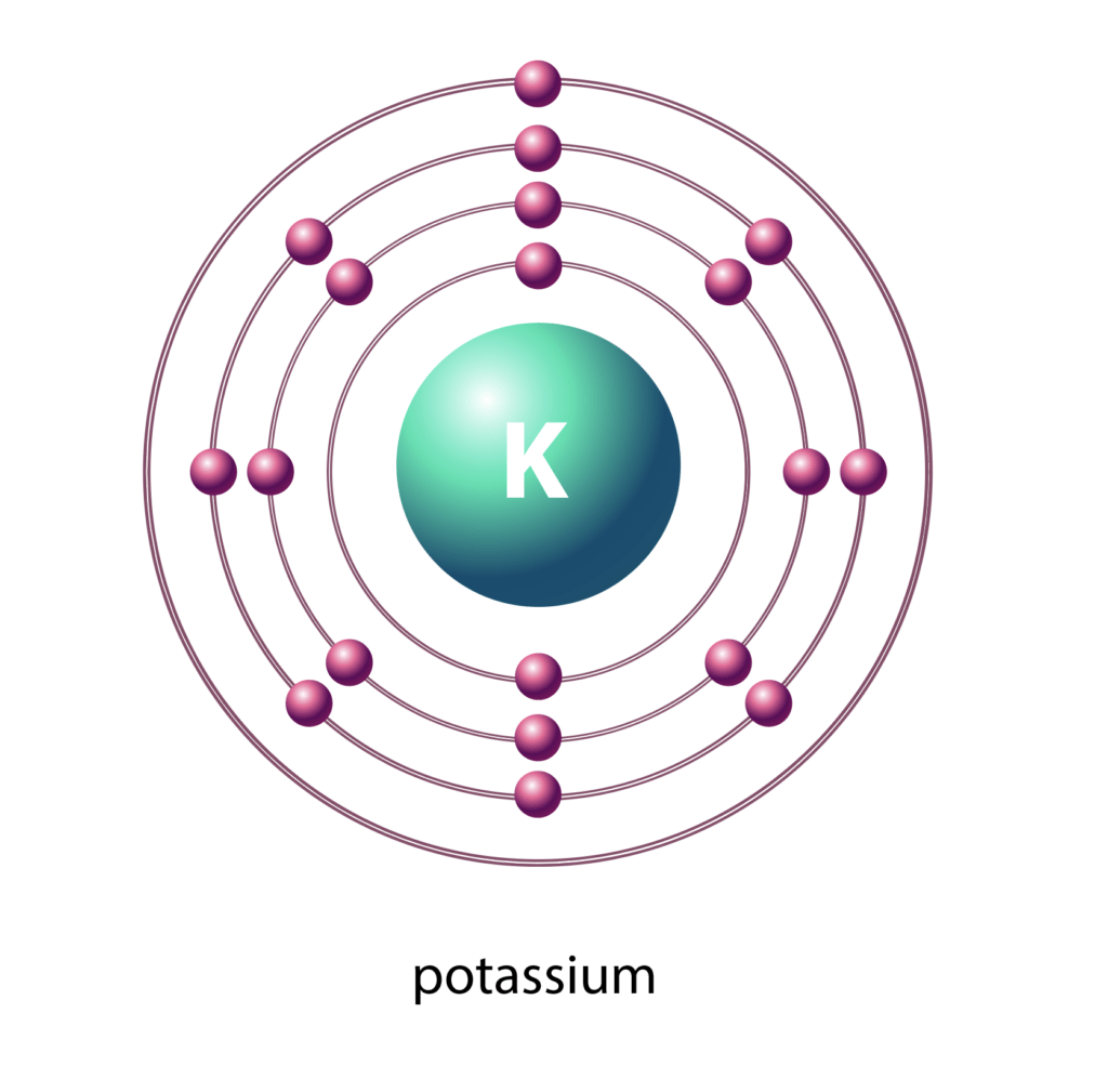 bohr model of potassium atom