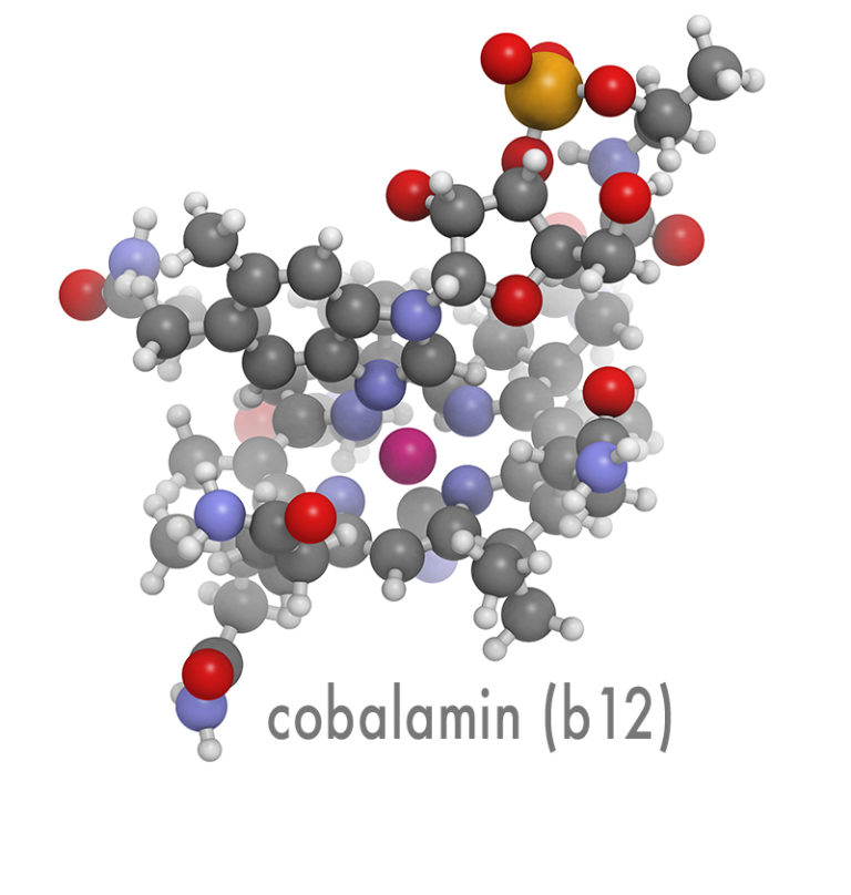 COBALAMIN (ALSO KNOWN AS VITAMIN B12) - Neuroneeds