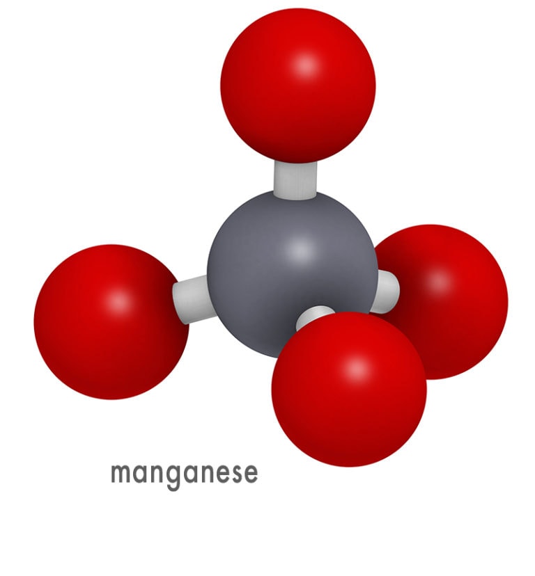 What Is The Role Of Manganese In Photosynthesis