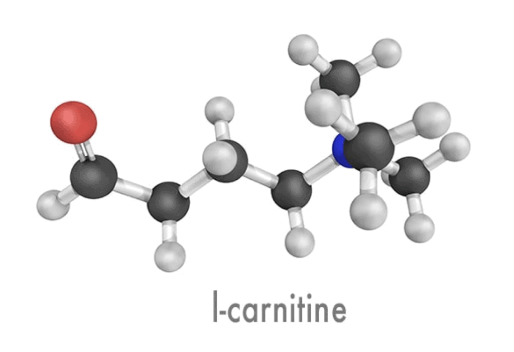 carnitine-neuroneeds